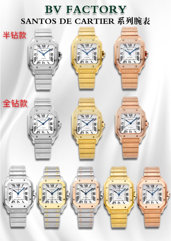 Cartier Santos de Cartier WSSA0037 BVF