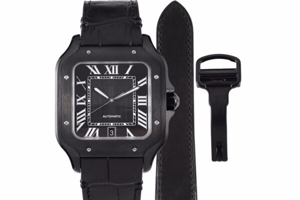 1 Cartier Santos de Cartier WSSA0039 BVF