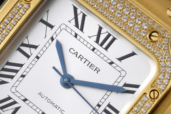Cartier Santos de Cartier WJSA0010 BVF