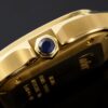 Cartier Santos de Cartier WJSA0010 BVF