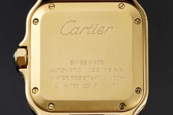 Cartier Santos de Cartier WJSA0010 BVF