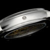 1(6) Patek Philippe 6102P-001 CELESTIAL AIF
