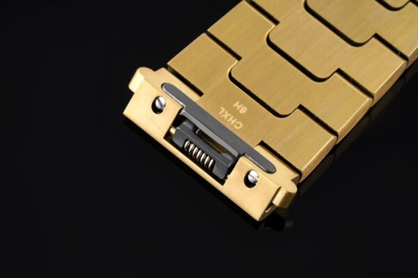 Cartier Santos de Cartier WJSA0010 BVF