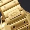 Cartier Santos de Cartier WJSA0010 BVF