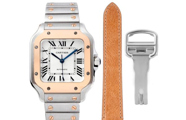 Cartier Santos de Cartier WGSA0020 BVF
