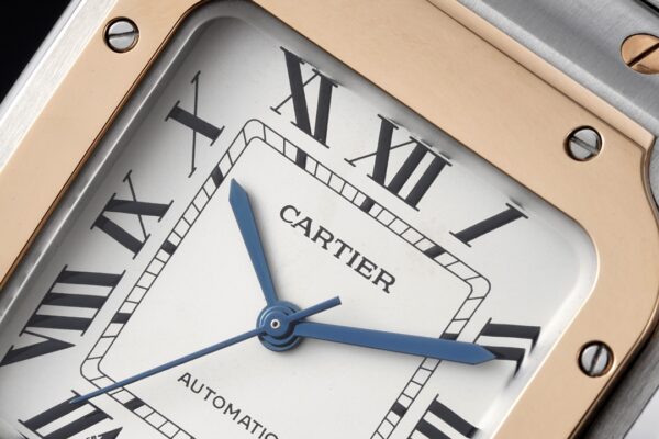 Cartier Santos de Cartier WGSA0020 BVF