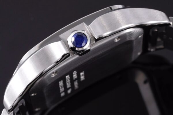 Cartier Santos de Cartier WSSA0030 BVF