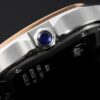 Cartier Santos de Cartier WGSA0020 BVF