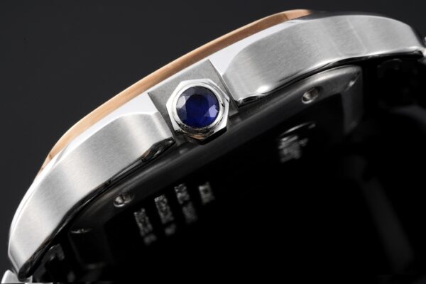 Cartier Santos de Cartier WGSA0020 BVF