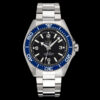 222 Omega Seamaster Planet Ocean 600M 42mm Collection