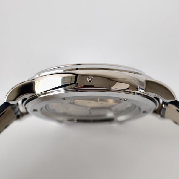 2(5) Patek Philippe 6102P-001 CELESTIAL PPF
