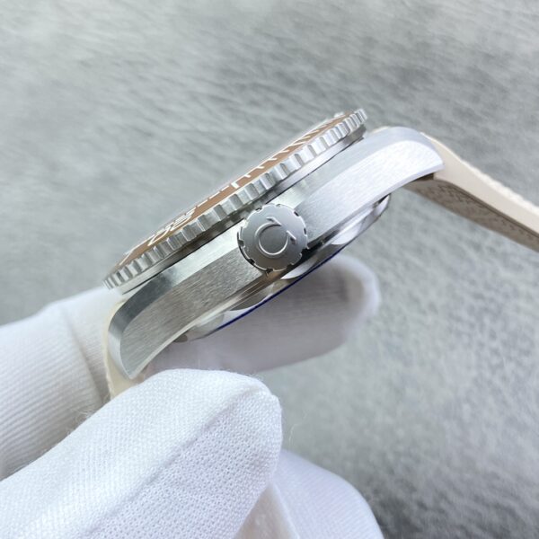 2(5) Omega Seamaster Planet Ocean 600M 43.5mm Collection VS Factory