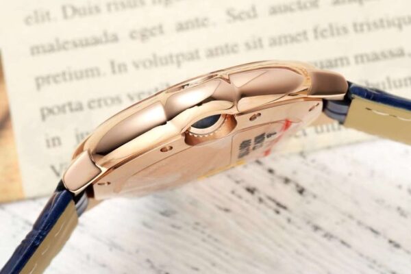 2(6) Ballon Bleu de Cartier WGBB0052 WGBB0053 AF
