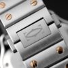 Cartier Santos de Cartier WGSA0020 BVF
