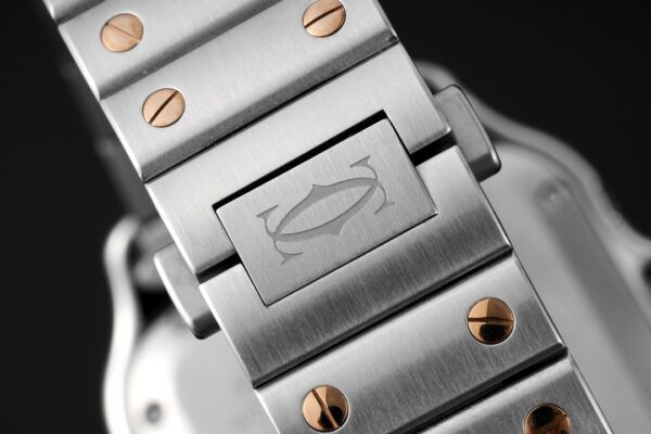 Cartier Santos de Cartier WGSA0020 BVF