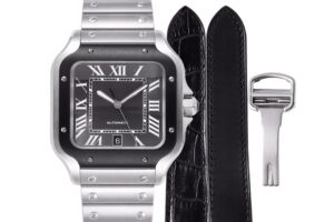 3 Cartier Santos de Cartier WSSA0037 BVF