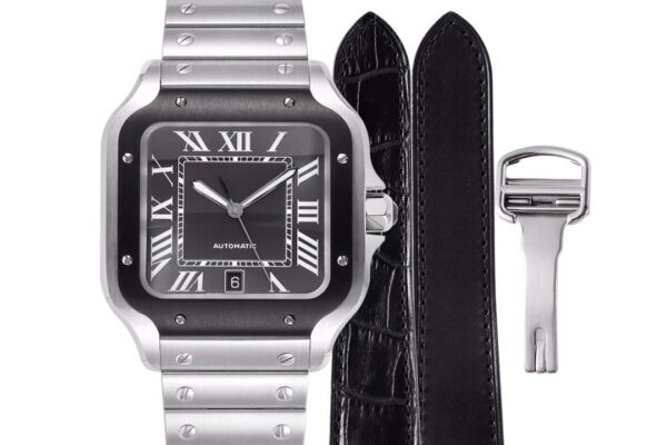 Cartier Santos de Cartier WSSA0037 BVF