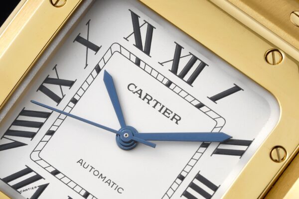 3(1) Cartier Santos de Cartier WGSA0010 BVF