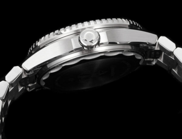 Omega Seamaster Planet Ocean 600M 42mm Collection