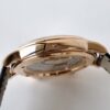 3(6) Patek Philippe 6102R-001 CELESTIAL PPF