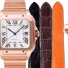 Cartier Santos de Cartier WGSA0042 BVF