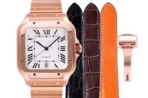 4 Cartier Santos de Cartier WGSA0042 BVF