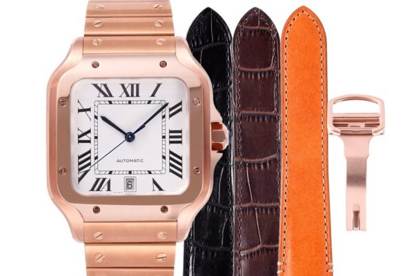 Cartier Santos de Cartier WGSA0042 BVF