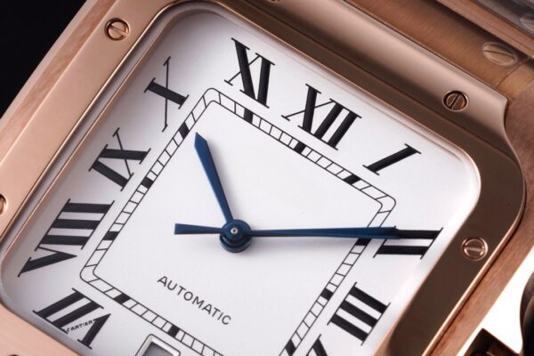 Cartier Santos de Cartier WGSA0042 BVF