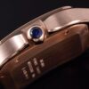 Cartier Santos de Cartier WGSA0042 BVF