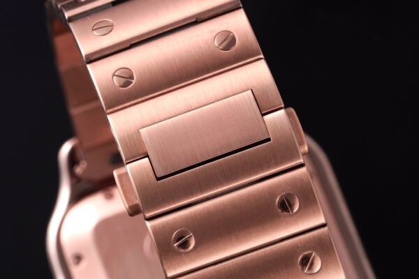 Cartier Santos de Cartier WGSA0042 BVF