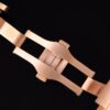Cartier Santos de Cartier WGSA0042 BVF