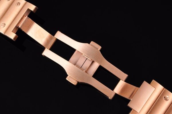 Cartier Santos de Cartier WGSA0042 BVF