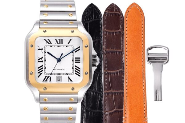 Cartier Santos de Cartier W2SA0006 BVF