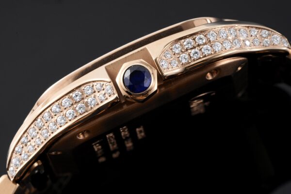 5(2) Cartier Santos de Cartier WJSA0009 BVF