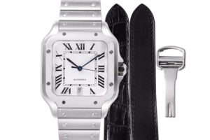 6 Cartier Santos de Cartier WSSA0018 BVF