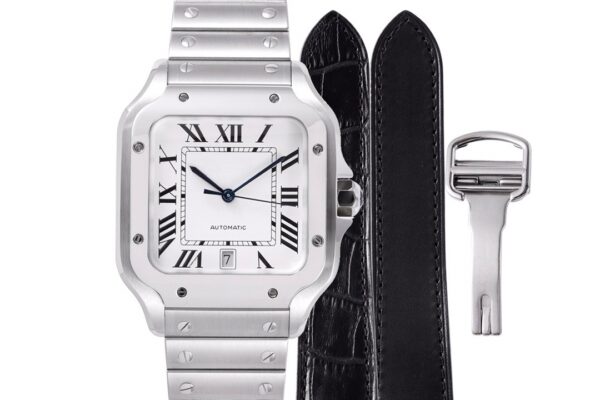 6 Cartier Santos de Cartier WSSA0018 BVF
