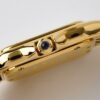 Cartier Panthere de Cartier WGPN0008 WGPN0009 BVF