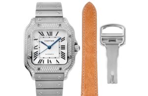 7 Cartier Santos de Cartier WSA0009 BVF