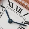 Cartier Panthere de Cartier WJPN0008 WJPN0009 BVF