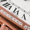 Cartier Panthere de Cartier WJPN0008 WJPN0009 BVF