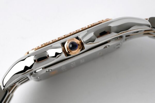 8(5) Cartier Panthere de Cartier WJPN0008 WJPN0009 BVF