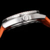 Omega Seamaster Planet Ocean 600M 42mm Collection