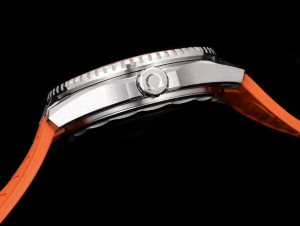 Omega Seamaster Planet Ocean 600M 42mm Collection