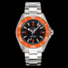 Omega Seamaster Planet Ocean 600M 42mm Collection