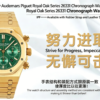 翻译需求确认 (7) Royal Oak 41mm 26331BA IPF